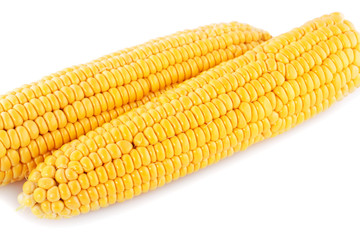 Corn cobs