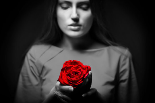 Very pretty woman with rose