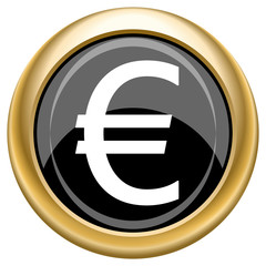 Euro icon