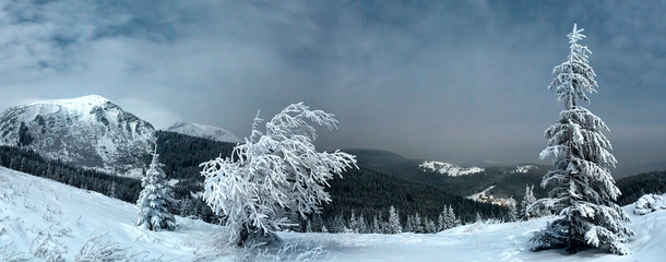 Night winter mountain landscape in full moon moonlight