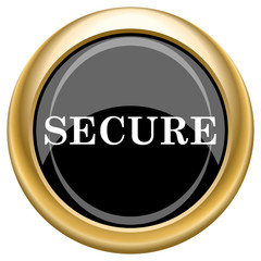 Secure icon