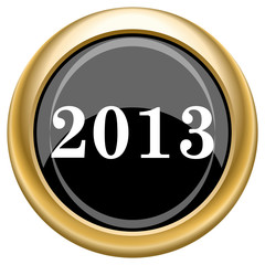 2013 icon