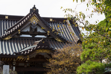 Fototapeta na wymiar 寺の屋根