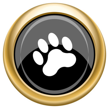 Paw print icon