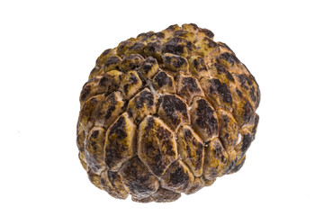 Custard-apple