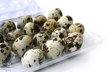 quail eggs in a box