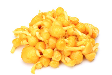 Pholiota nameko