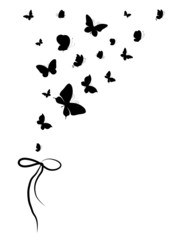 butterflies design