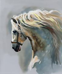 Naklejki  biały koń