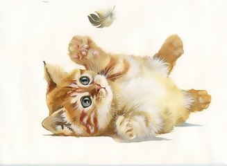 Watercolor Animal Collection: Cat and feather - 57953437
