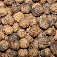 walnuts
