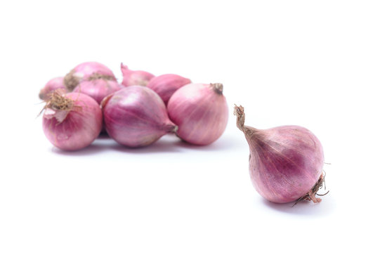 Shallots, Raw and uncooked isolated on white background