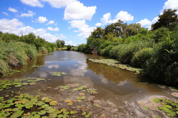 parco nazionale del kruger sudafrica