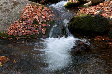 Fall river