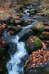 Fall river