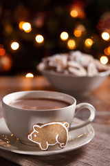 A cup of hot chocolate with gingerbread