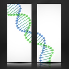 DNA Molecule Background.