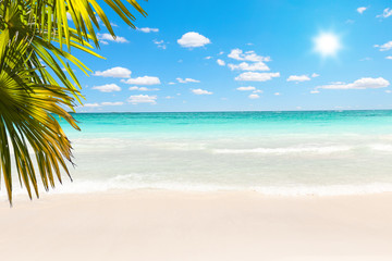 Stunning Caribbean beach with transparent waters