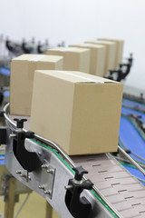Cardboard boxes on conveyor belt in factory