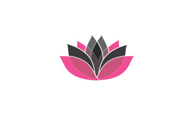 Lotus new concept rose