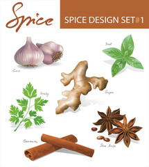 Spice images design set 1. Vector illustration.