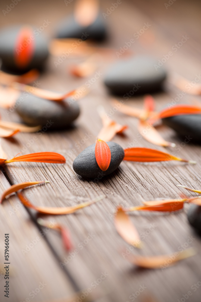 Wall mural Flower petals.