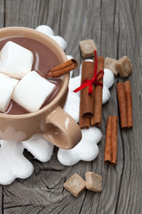 Cup of hot chocolate with marshmallows