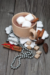 Obraz na płótnie Canvas Cup of hot chocolate with marshmallows