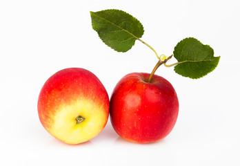 Fototapeta na wymiar two apples isolated on white