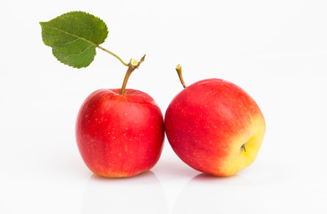 two apples isolated on white