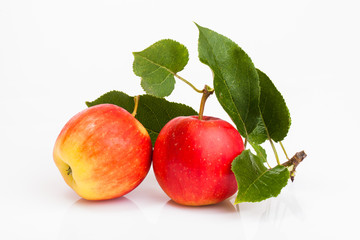  apples isolated on white