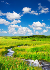 Fototapeta na wymiar River on the field. Beautiful summer landscape