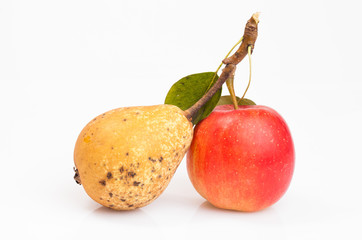 pear and apple isolated on white