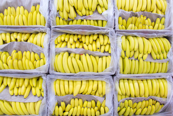 Ripe bananas in a box at the store.