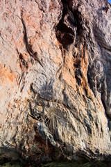 Swallow's nest collection on the mountain of Thailand
