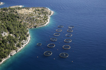 Round cages for fish farming on island Brac in Croatia