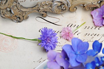 Blüten auf altem Brief