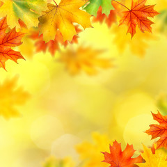 Naklejka na ściany i meble backround with autumn leaves