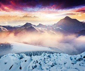winter