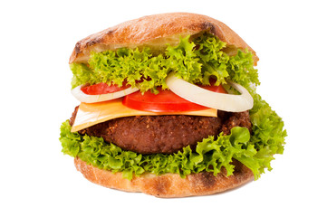 Haburger isolated