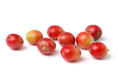 red coffee beans isolated on white background