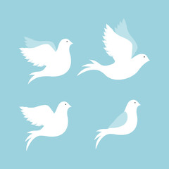 peace design
