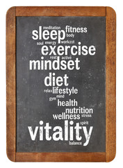 Obraz premium vitality word cloud on blackboard