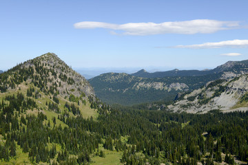 Fototapeta na wymiar Au Mont Rainier National Park, USA
