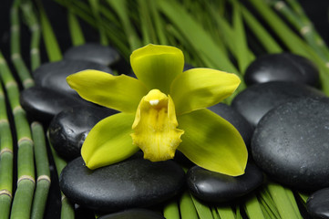 Obraz na płótnie Canvas orchid and zen stone on palm leaf texture