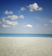 Fototapeta premium Beach