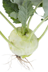 kohlrabi