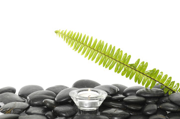 Set of green fern with white candle on pebbles