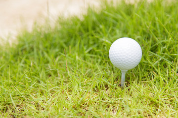 Golf ball on tee