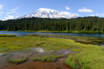 Au Mont Rainier National Park, USA